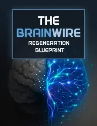The Brainwire Regeneration Blueprint bonus